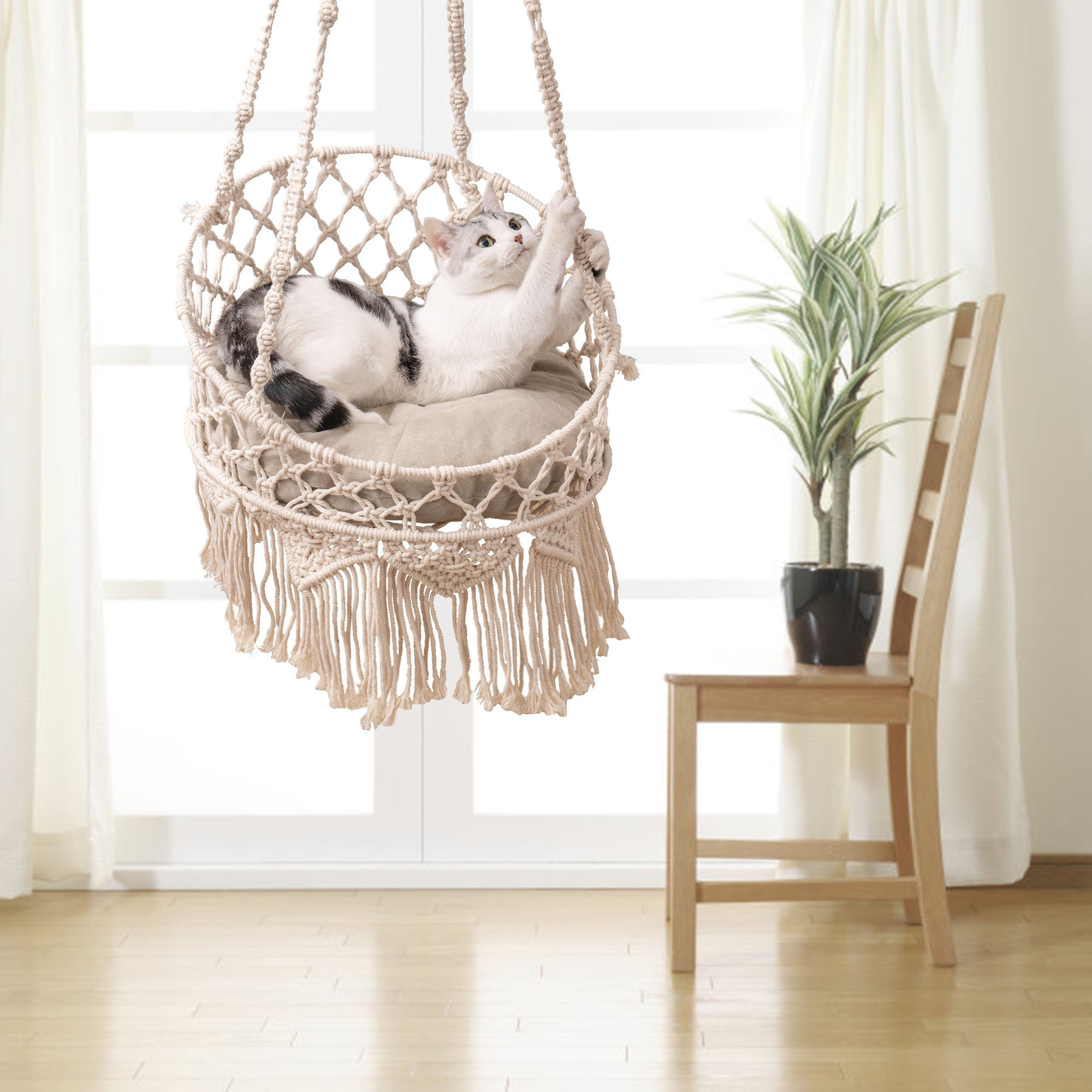 Tucker Murphy Pet™ Dantwan Specialty Cat Bed Wayfair