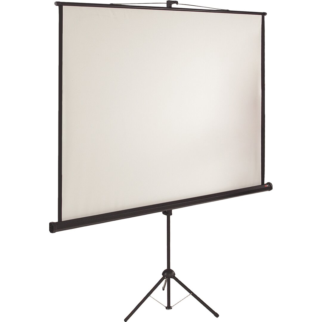 White Portable Projection Screen white