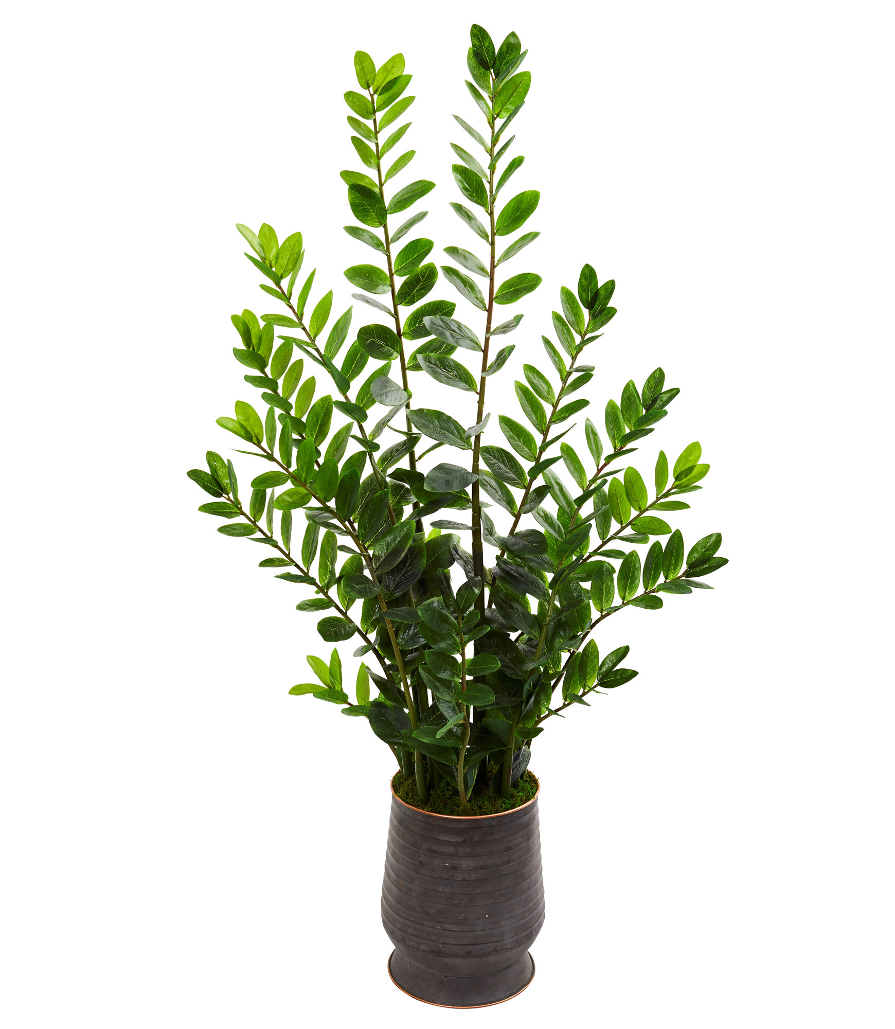 Winston Porter 54" Artificial Foliage Plant in Planter Wayfair