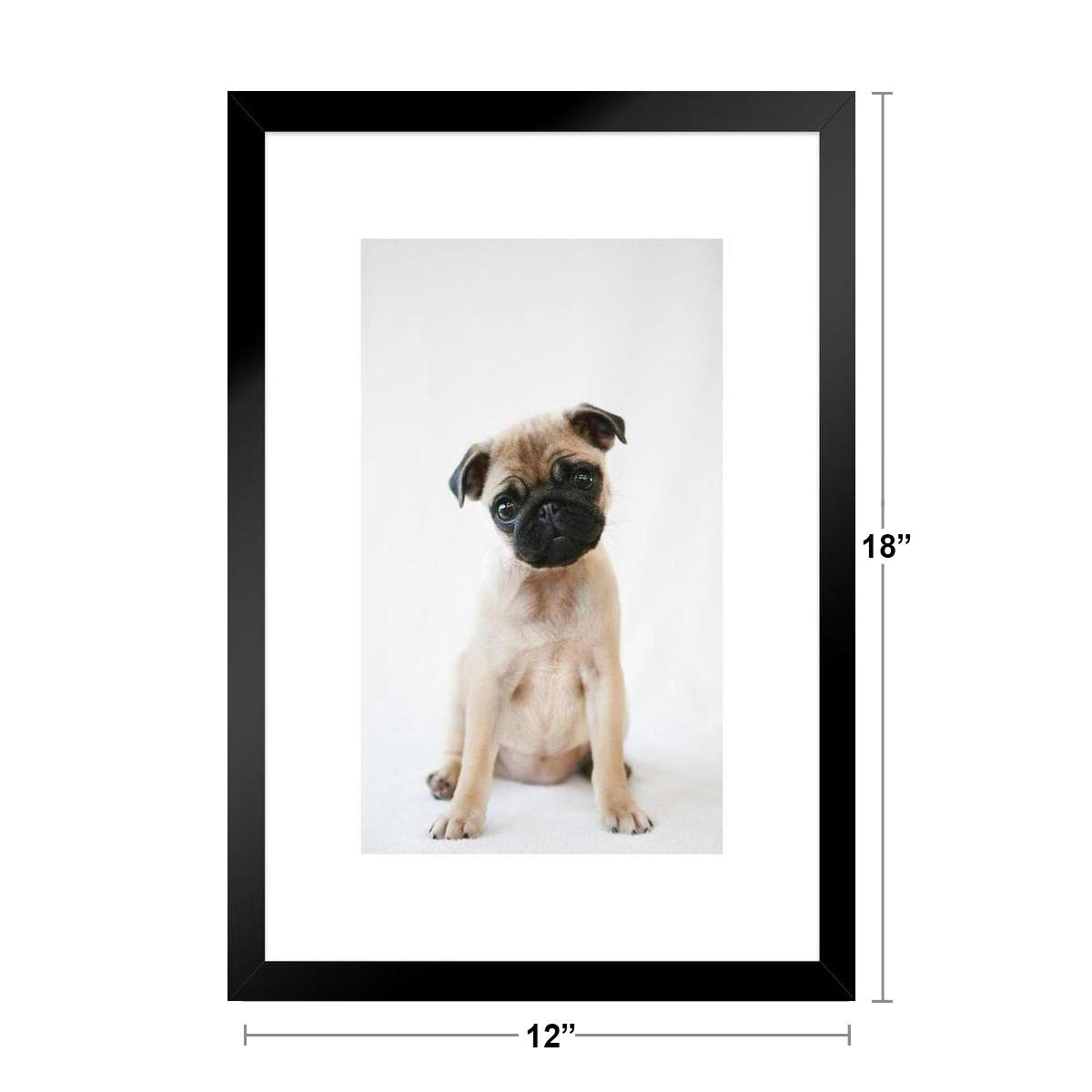 Red Barrel Studio® Pug Puppy Sitting Obediently Photo Puppy Posters For