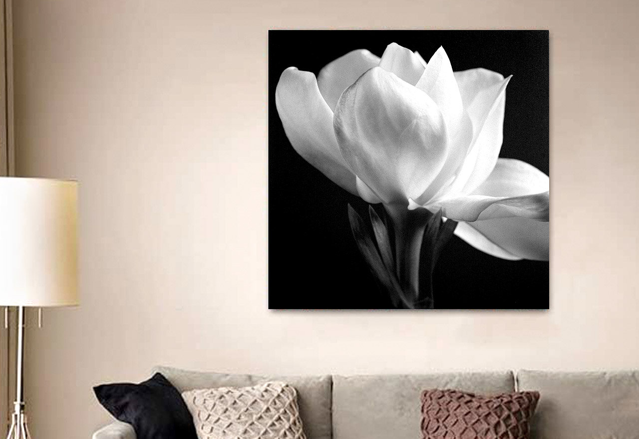 [BIG SALE] Best Sellers Black & White Wall Art You’ll Love In 2022