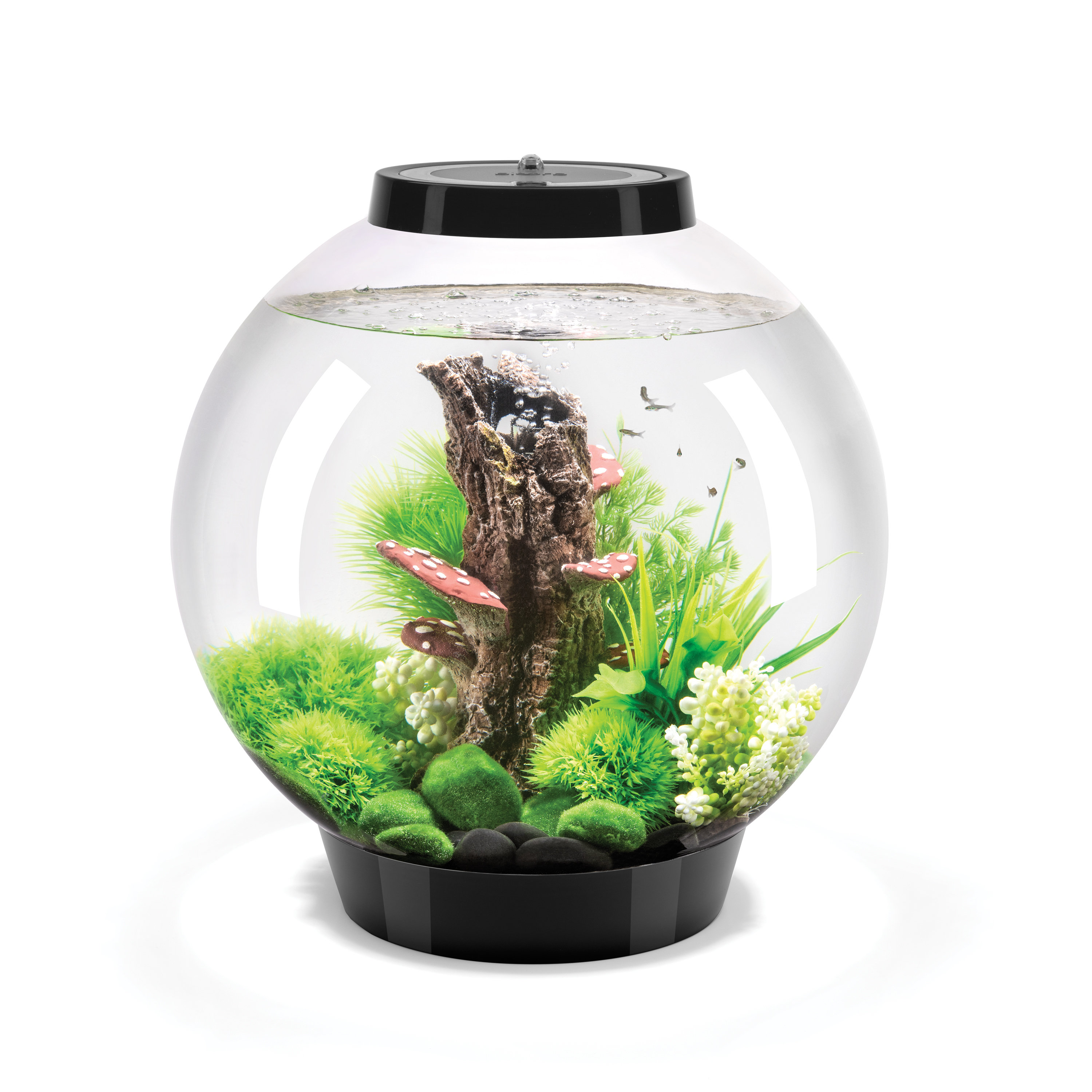 lumiere aquarium biorb