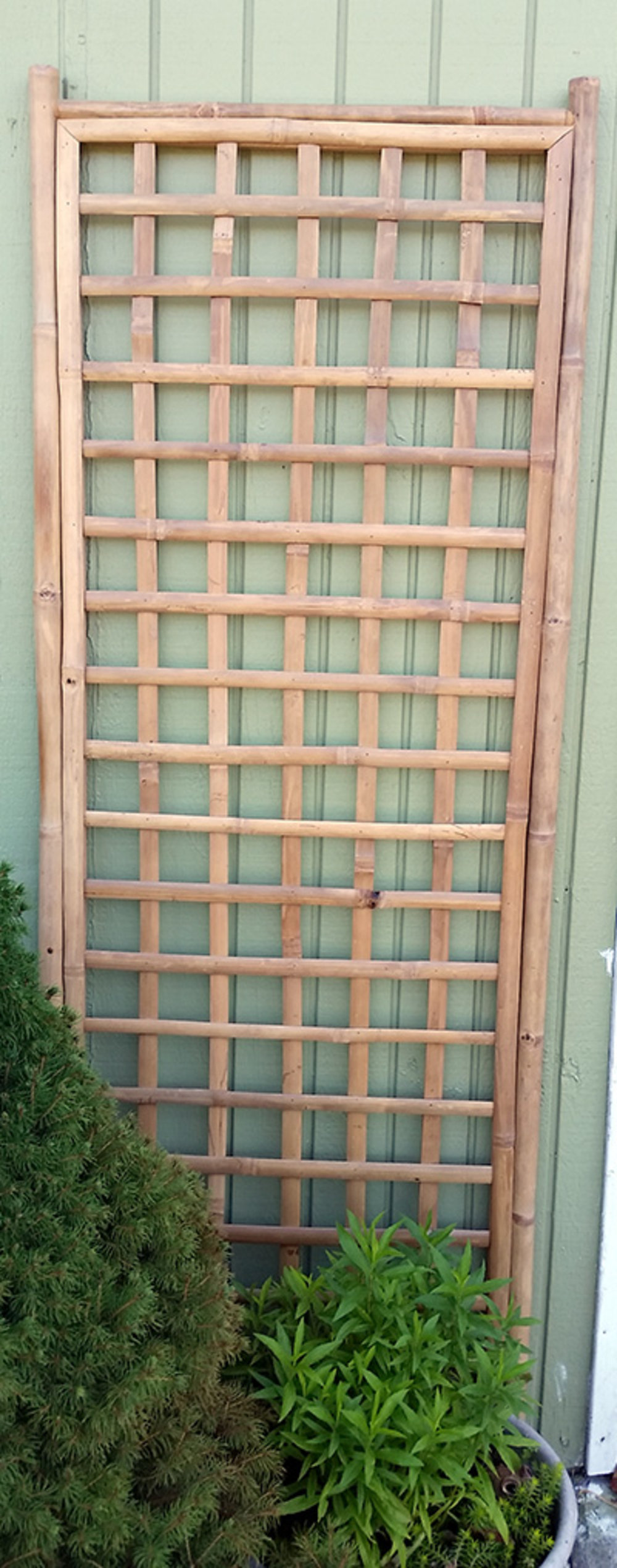 MGP 72'' H Wood Lattice Panel Trellis & Reviews Wayfair