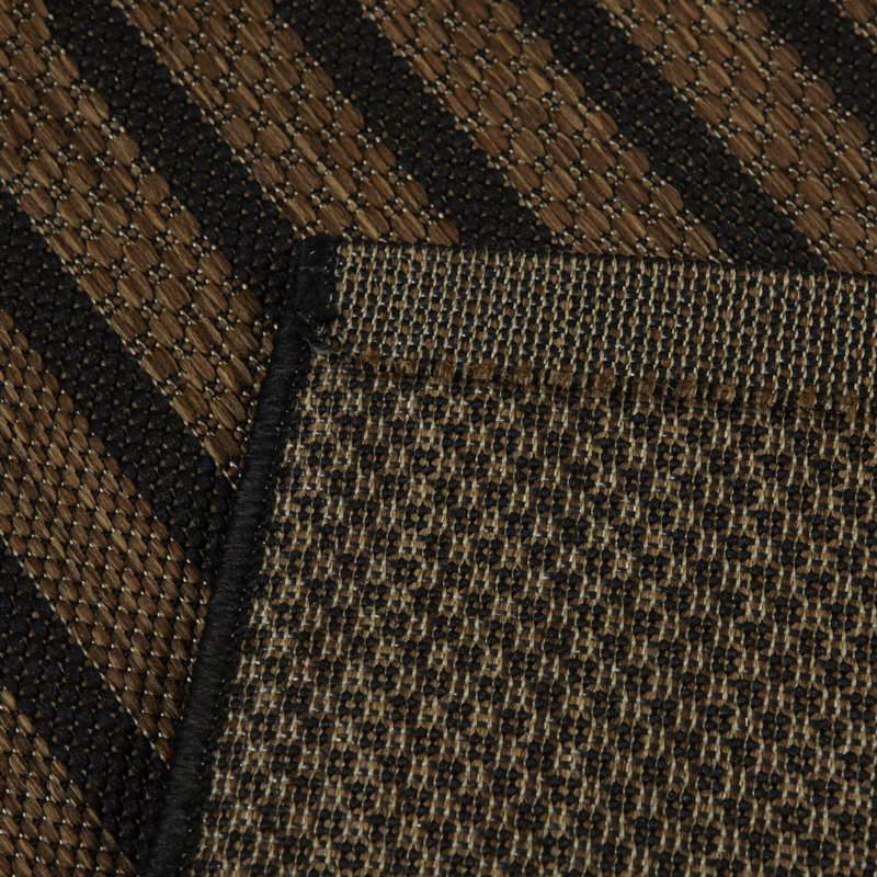 Sophia Black/Brown Indoor/Outdoor Rug & Reviews | AllModern