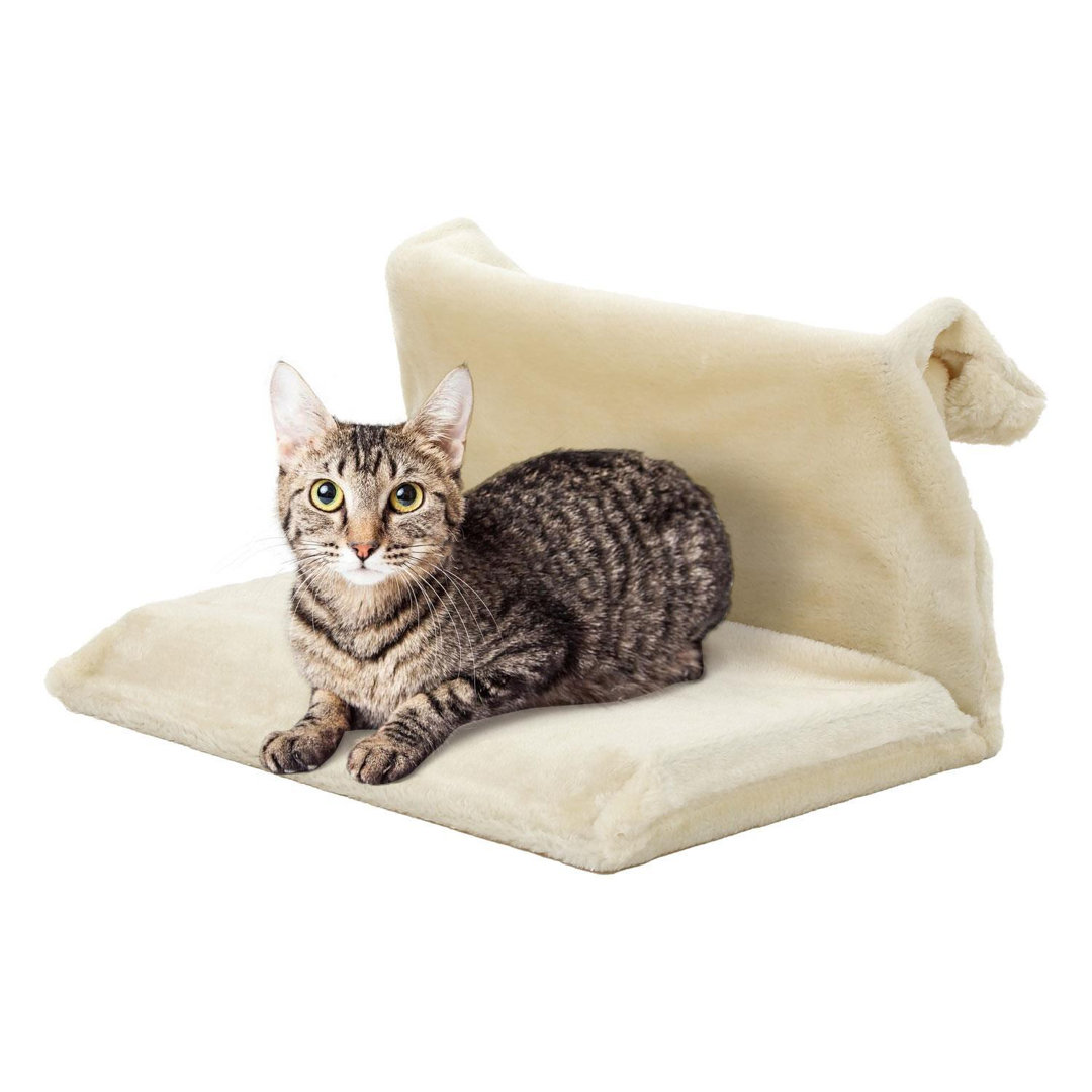 Archie & Oscar Katzenmatte Givens