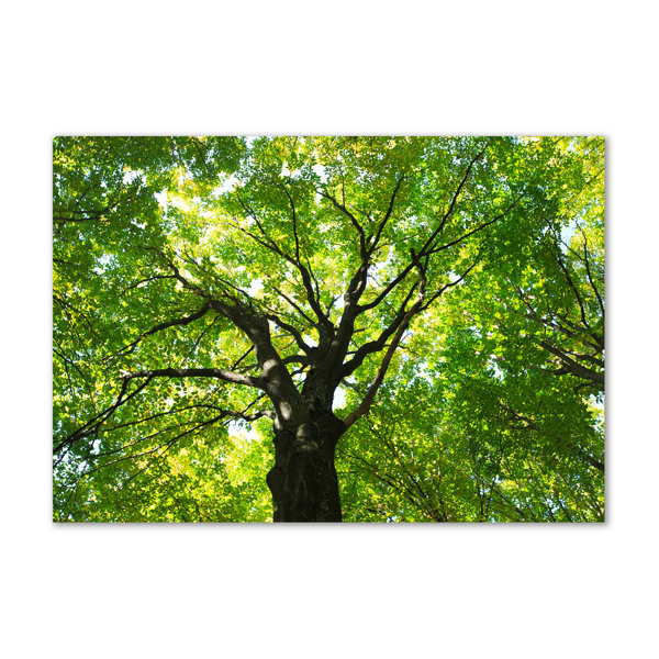 Union Rustic Green Forest - Wrapped Canvas Art Prints | Wayfair.co.uk