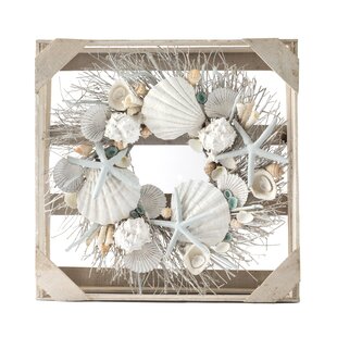 10 x Candy Fan mini scallop seashells nautical craft hobby terrariums cooking 