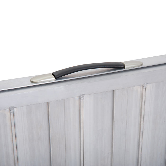 HomCom Portable Ramp & Reviews | Wayfair