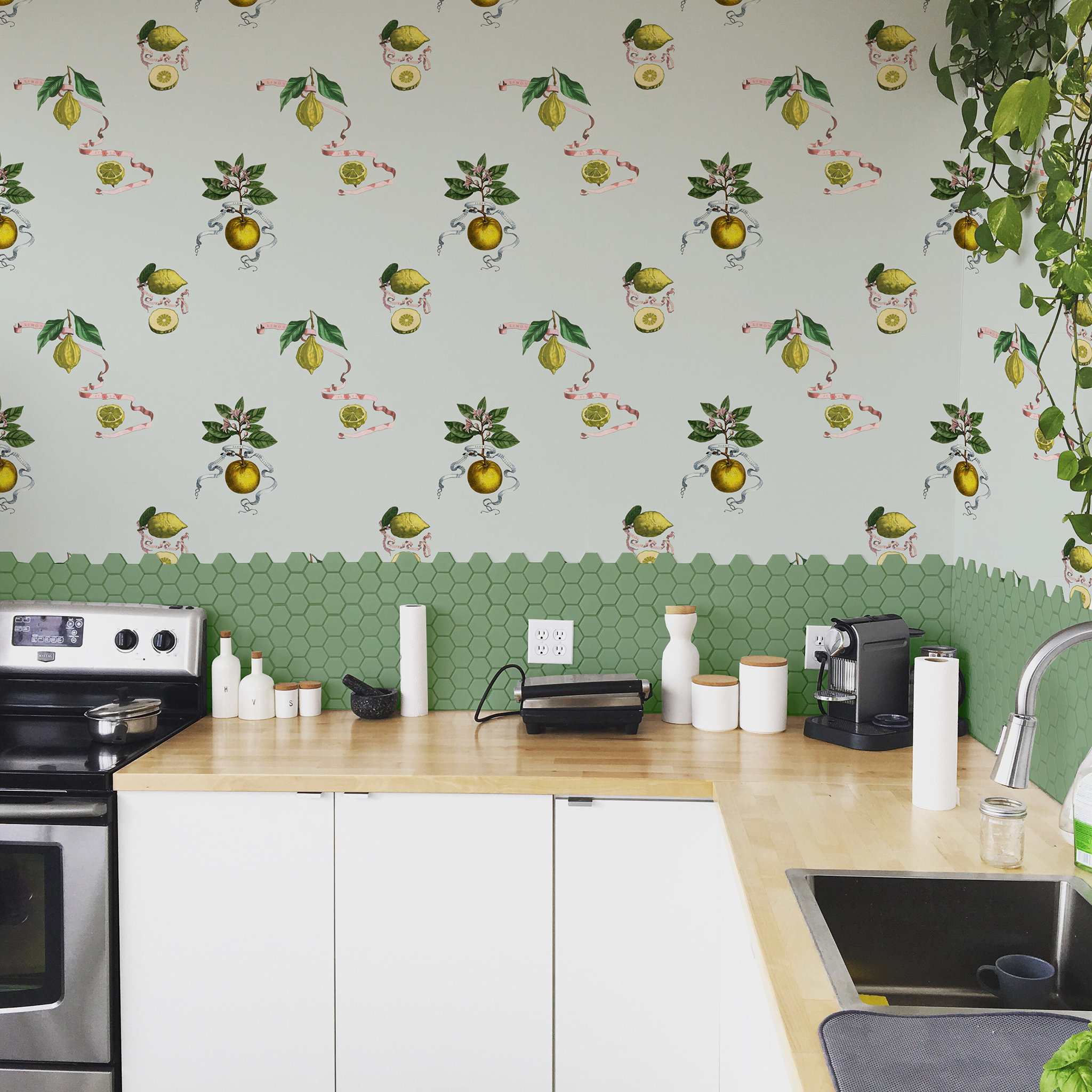 Soicher-Marin Lemon Tree Floral Wallpaper Double Roll | Perigold