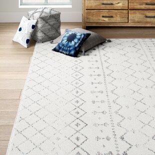 San Francisco 49ers Soft Area Rugs Nonslip Fine Fluffy Flannel Carpet Floor Mat 