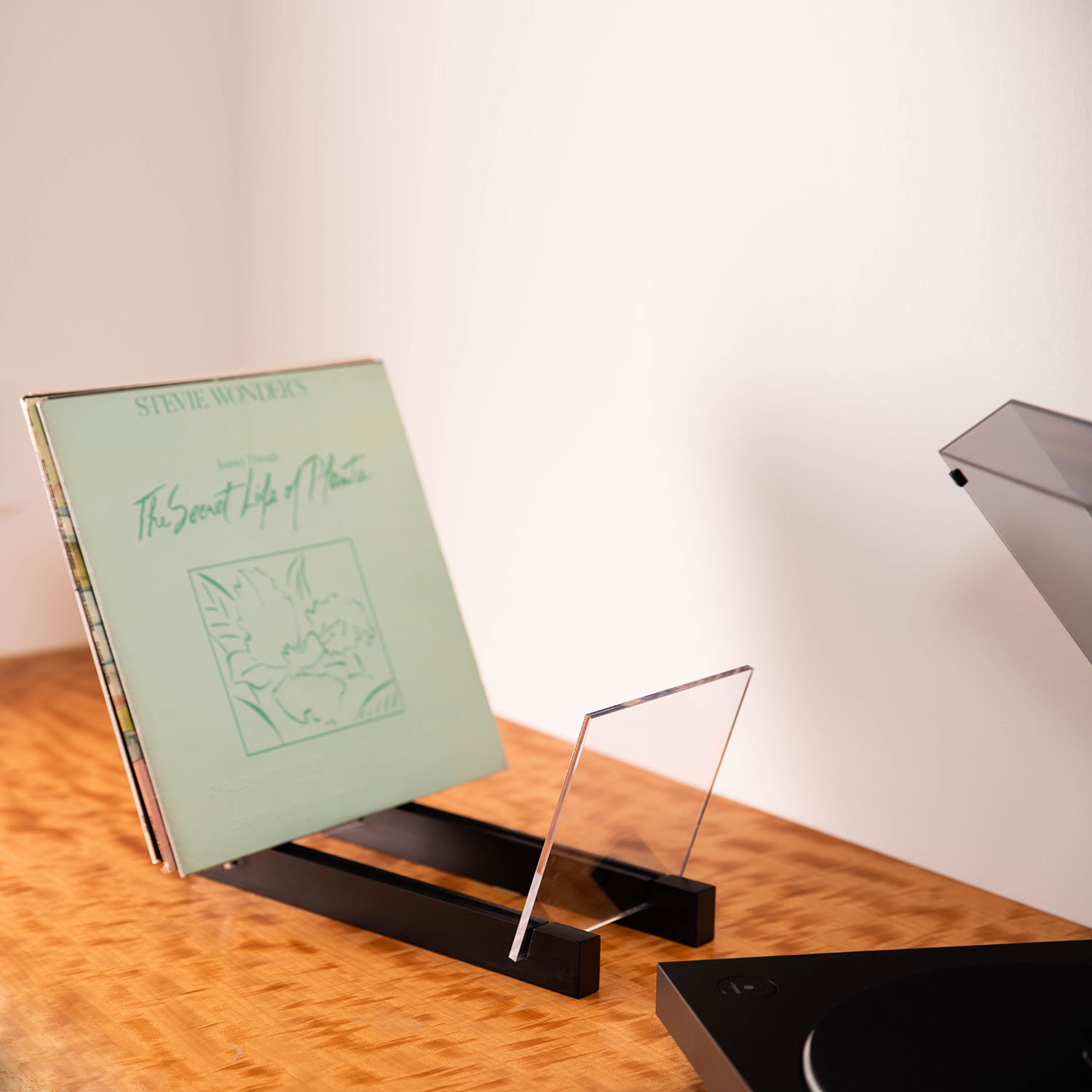 Ebern Designs Acrylic and Wood Dowel Rack Media Storage Wayfair