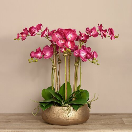 Vivian Rose Orchid Floral Arrangement in Planter & Reviews | Wayfair