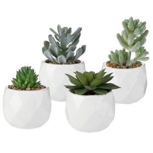 Set of 4 Mini Green Artificial Succulent Plants in Square White Ceramic Planters 