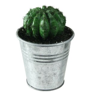 Artificial Mini Succulent Fake Cactus Plant With Metal Planter Tin Pot 