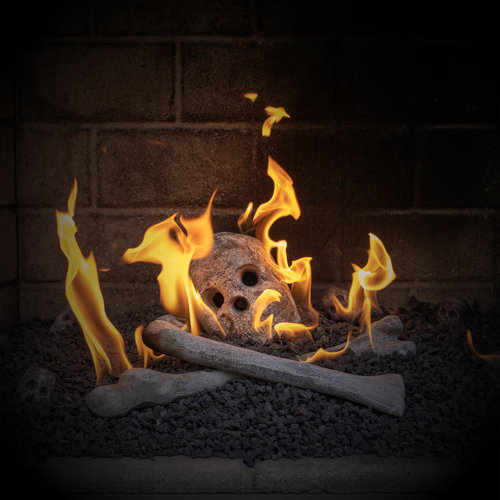 Fire Pit Essentials Ceramic Skull Fire Pit Lava Rock & Reviews | Wayfair