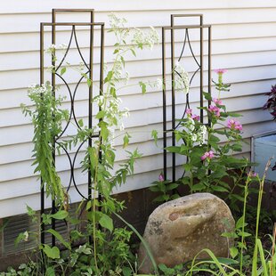 Plants Climbing Holder Rack With 10 Twist Tie for Plant Train and Support 3 Pack 13 Round Garden Trellis for Climbing Plants Black Iron Plant Vine Trellis Metal Support Wire with Rustproof Coating 