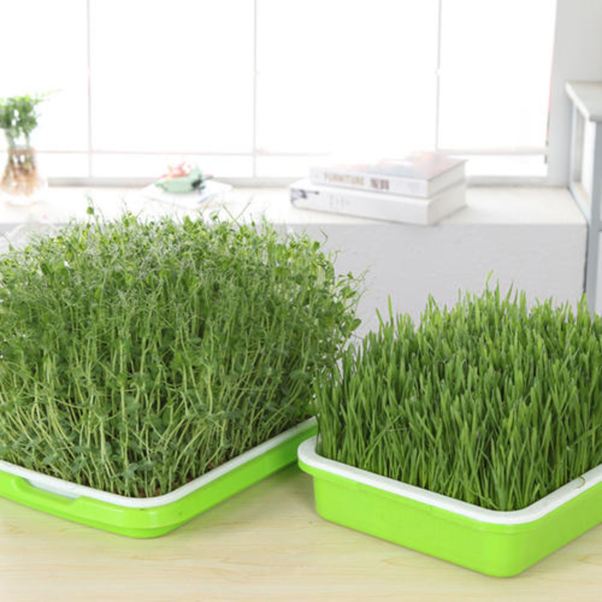 [BIG SALE] Indoor Gardening Essentials You’ll Love In 2023 Wayfair