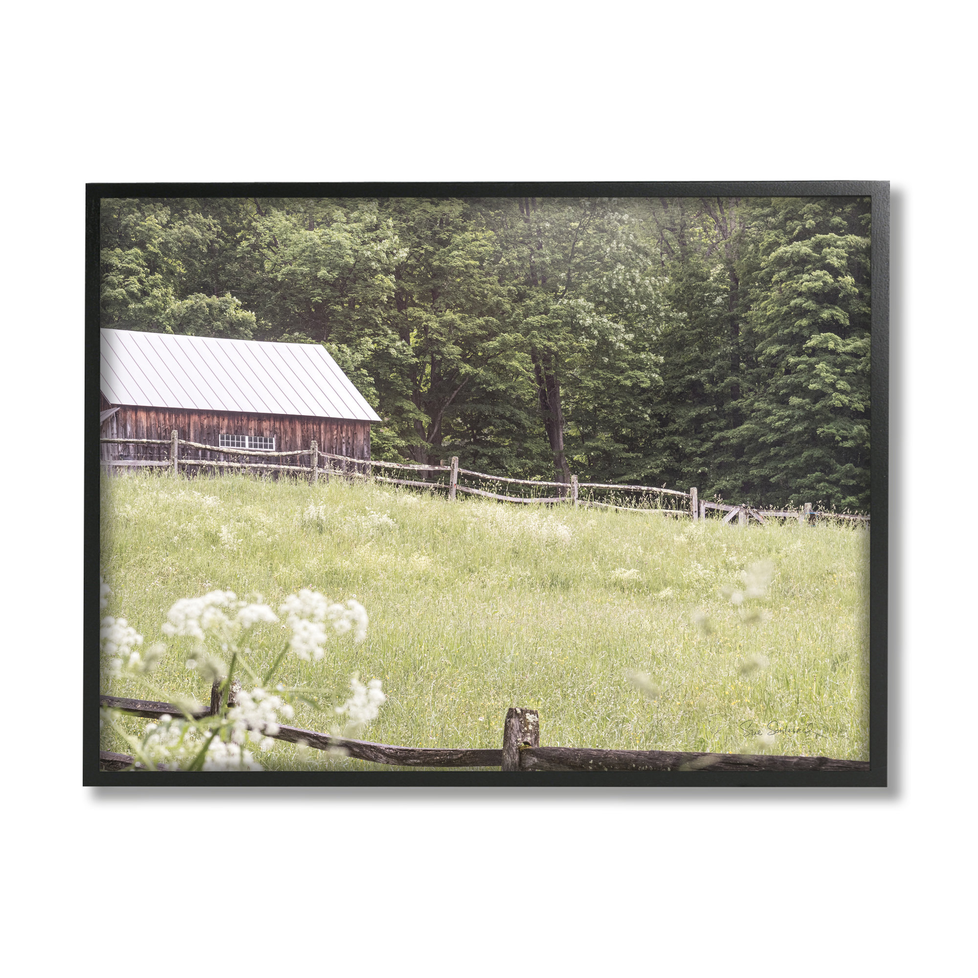 Gracie Oaks Rural Country Cottage Grassland Field by Photograph on