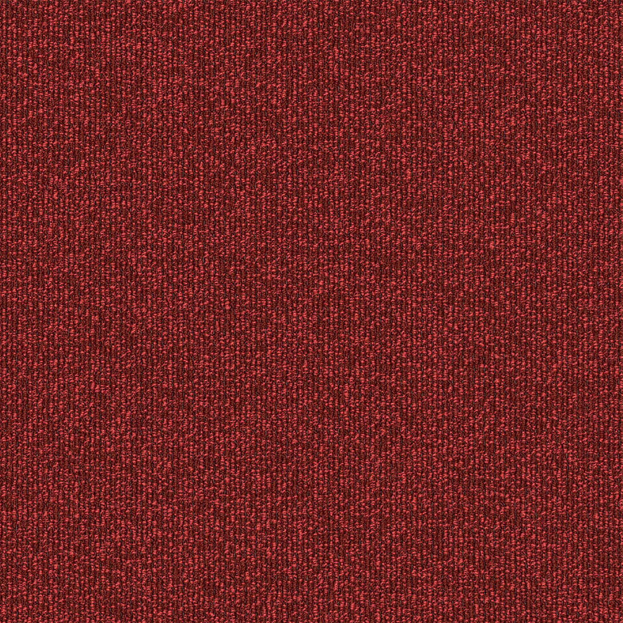 EF Contract Highlight 24" x 24" Multi Level Loop Adhesive Tabs Carpet