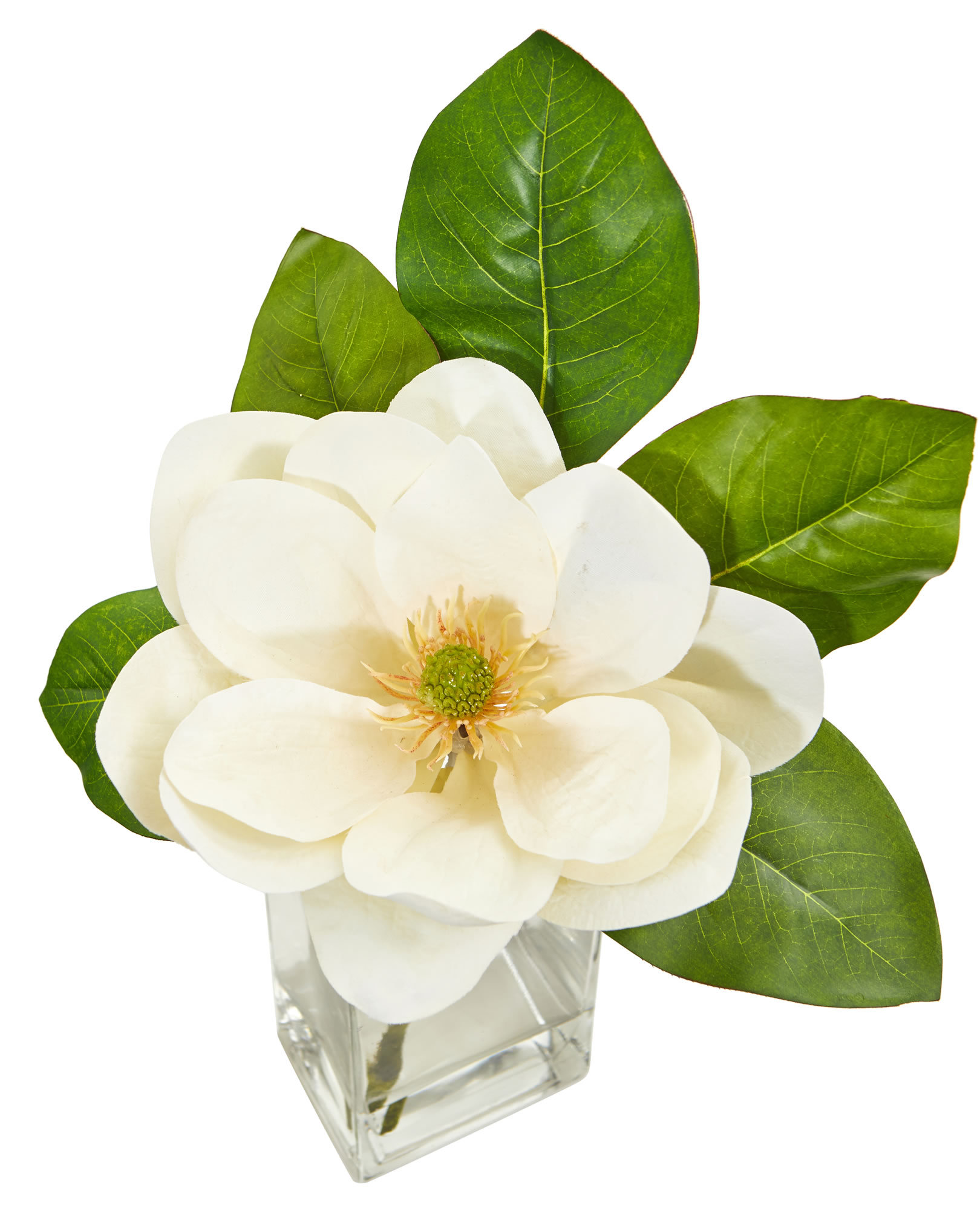 Charlton Home® Artificial Magnolia Floral Arrangement in Vase Wayfair