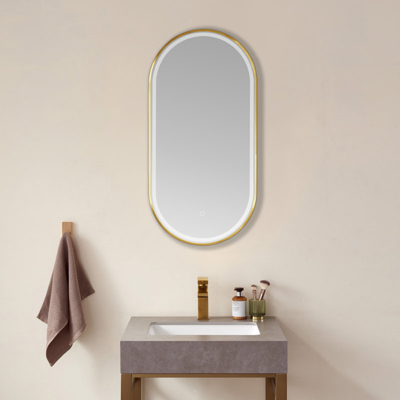 Mercury Row® Orta Oval LED Metal Wall Mirror | Wayfair