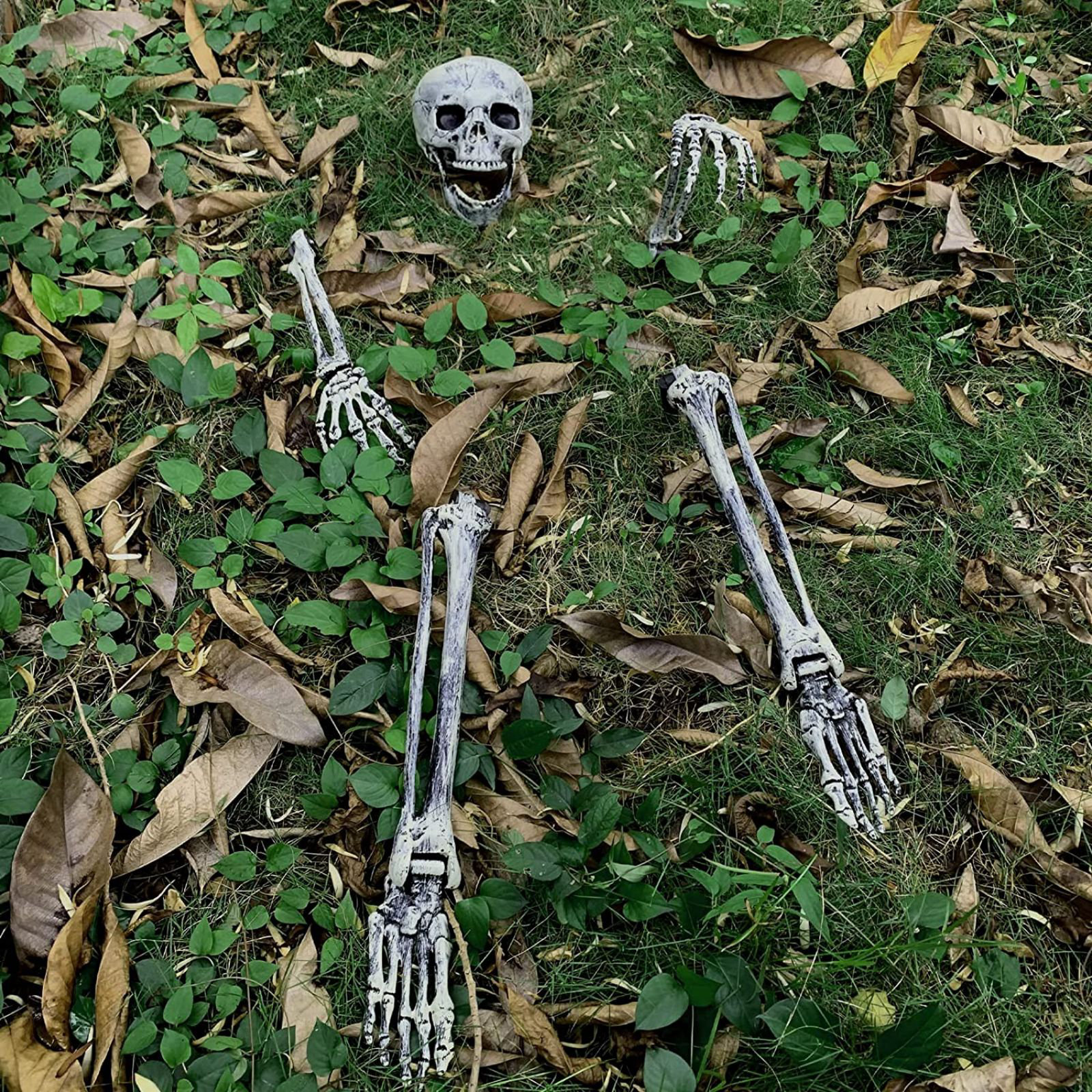 The Holiday Aisle® 165CM Halloween Skeleton Life Size, Realistic Posable Full Body Hanging Adult