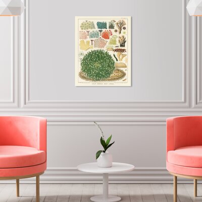 Oliver Gal 'Great Barrier Reef Corals' Nautical and Coastal Green Wall Art Canvas Print -  40902_16x20_CANV_XHD
