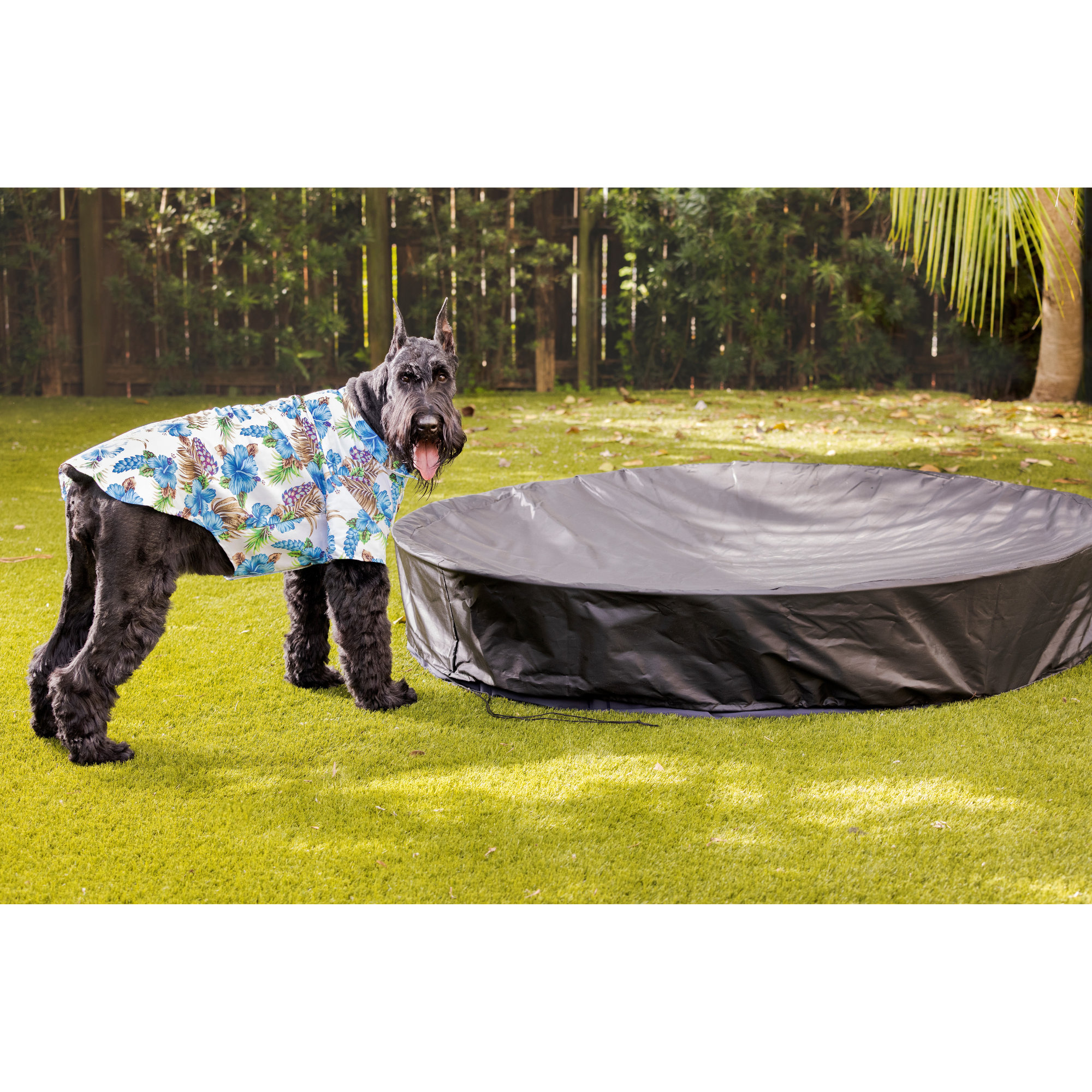 Midlee Dog Pool Cover Wayfair