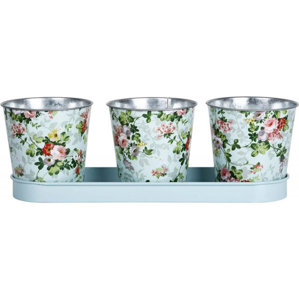 Mercer41 Planter 3 Pots Roses | Wayfair.co.uk
