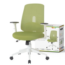 Palette Ergonomic Office Chair