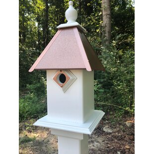 Box Cedar Bird Bluebird House S Houses Nest Opening Free Peterson H Oval Nesting 