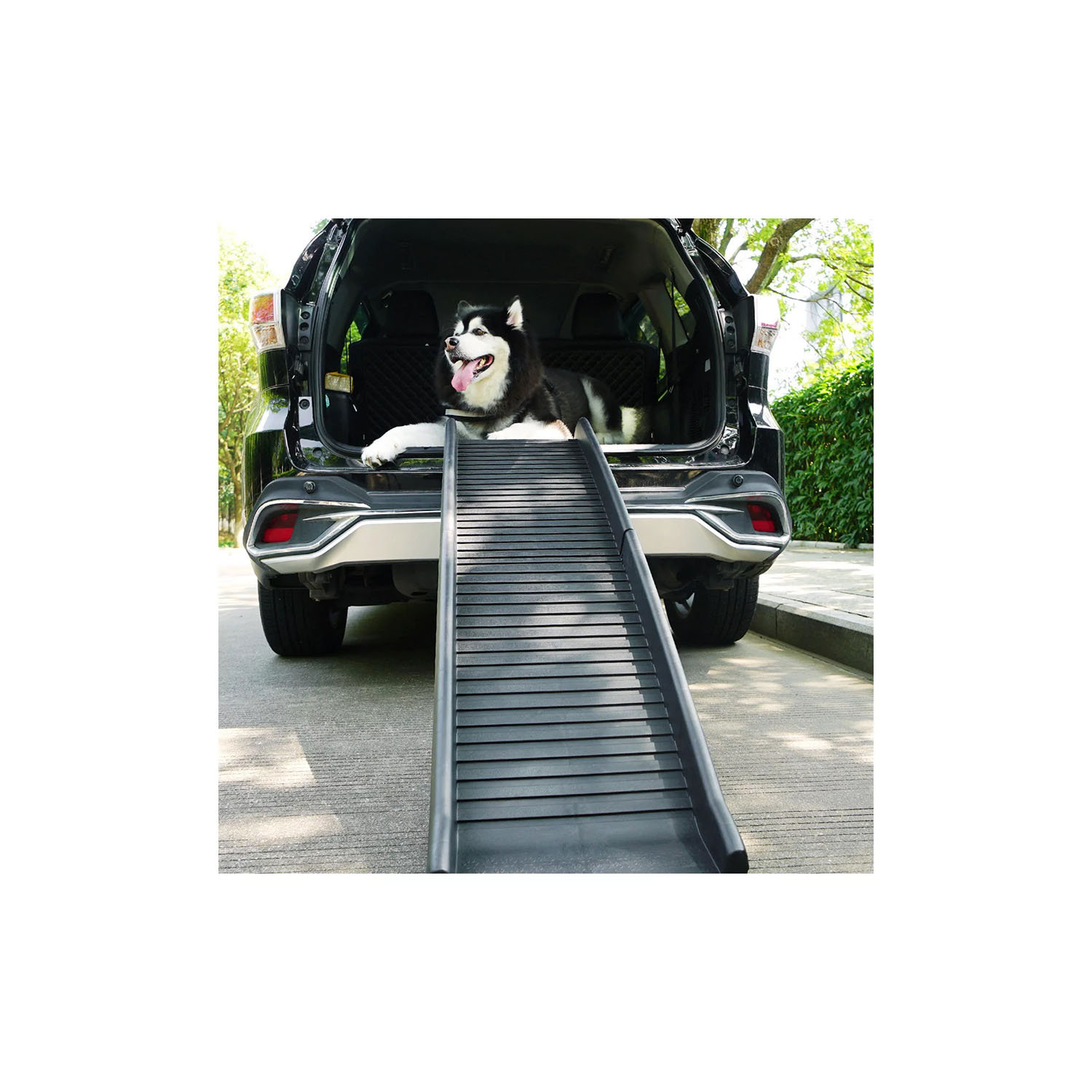 Aldi Dog Ramp