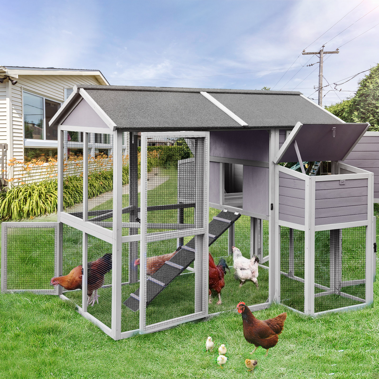 [BIG SALE] Chicken Coops for Less You’ll Love In 2023 Wayfair