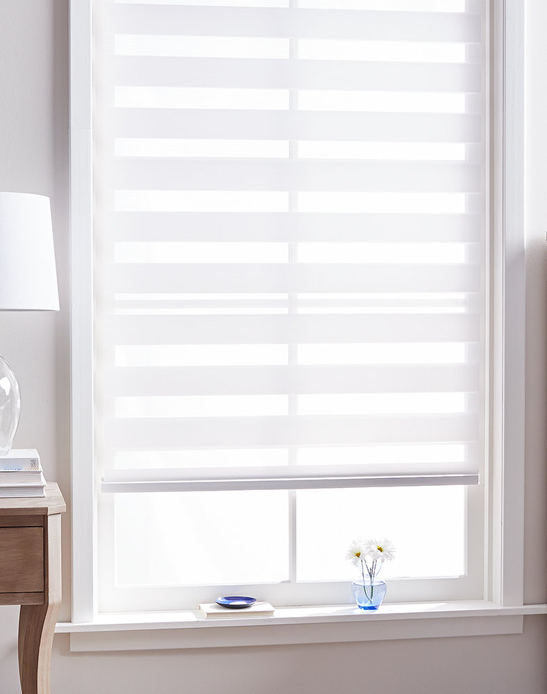 Charlton Home® Semi Sheer Pleated Shade & Reviews Wayfair