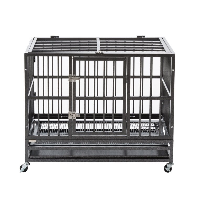 what is the strongest dog crate available