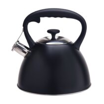 Bouilloire à thé en acier inoxydable avec thermomètre pour une température exacte fonctionne sur la cuisinière à induction pour un chauffage rapide de l'eau 1,25 L bec fin pour verser sur le café 
