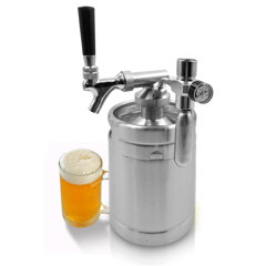 wayfair kegerator