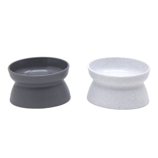 whisker city cat saucer