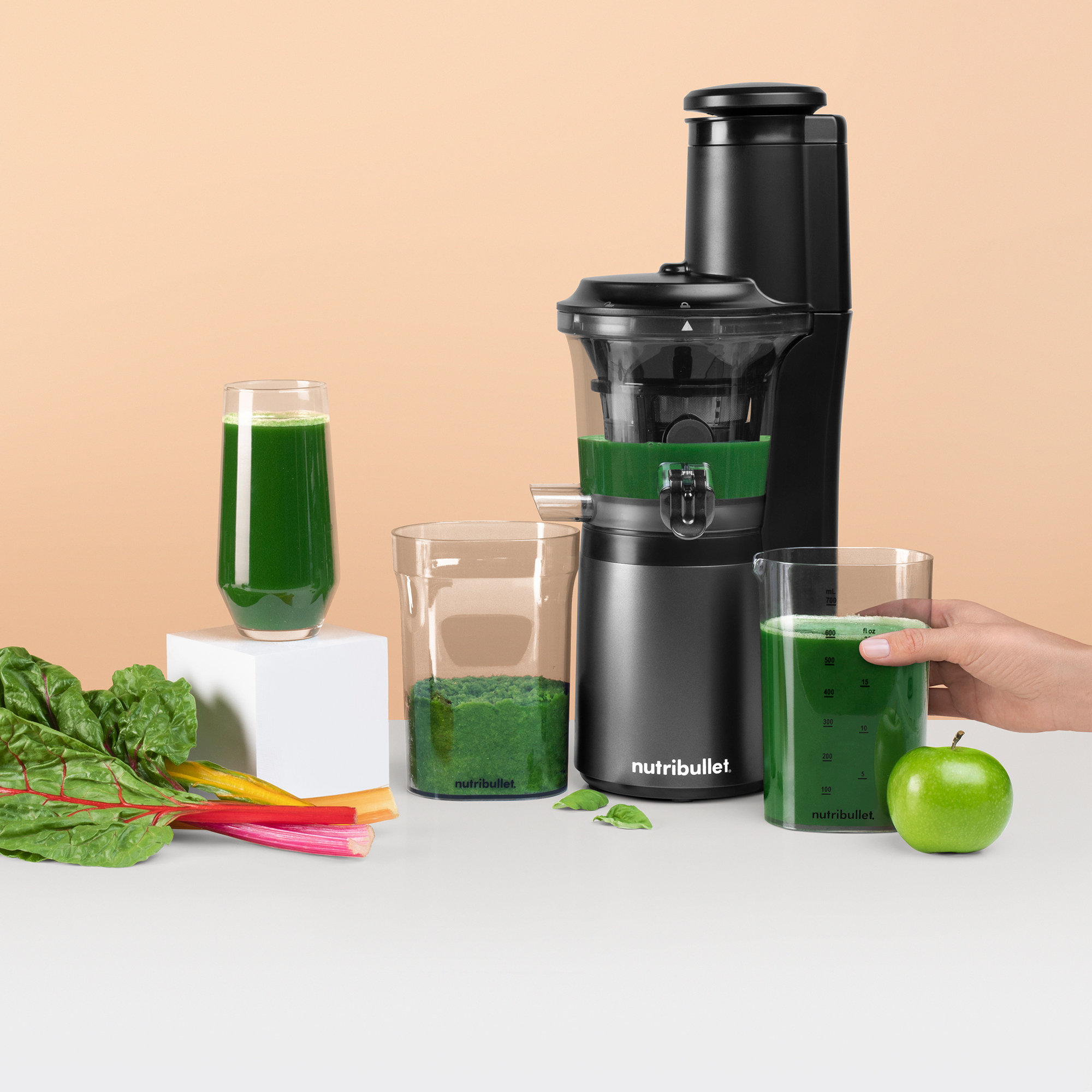 NutriBullet Masticating Cold Juicer & Reviews | Wayfair