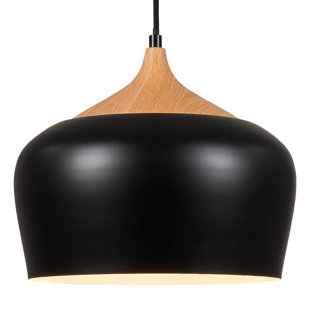 Ceiling Hanging Lamps | Wayfair