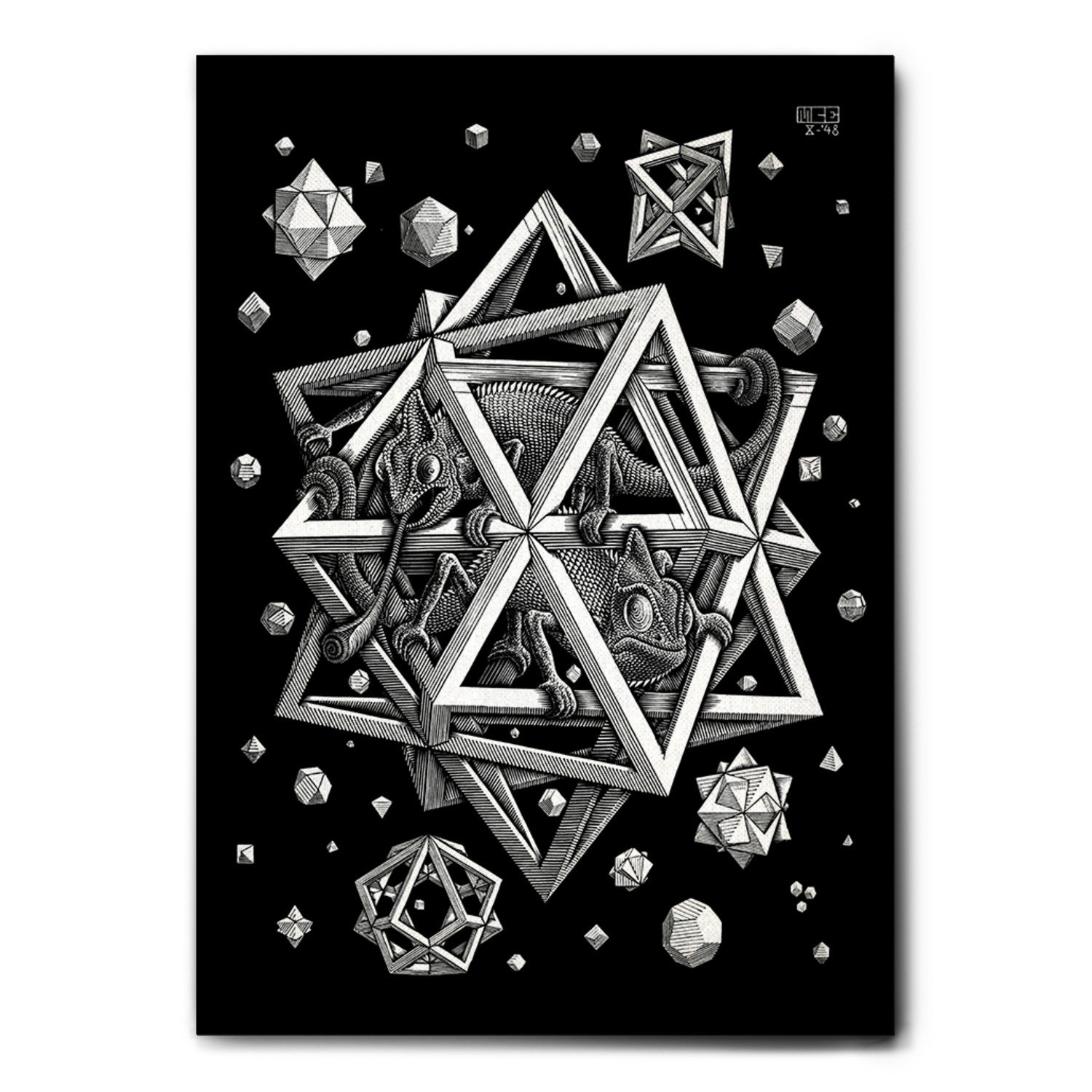 Maturi Happy Larry Quadro Stampa Su Tela Canvas Escher Stars