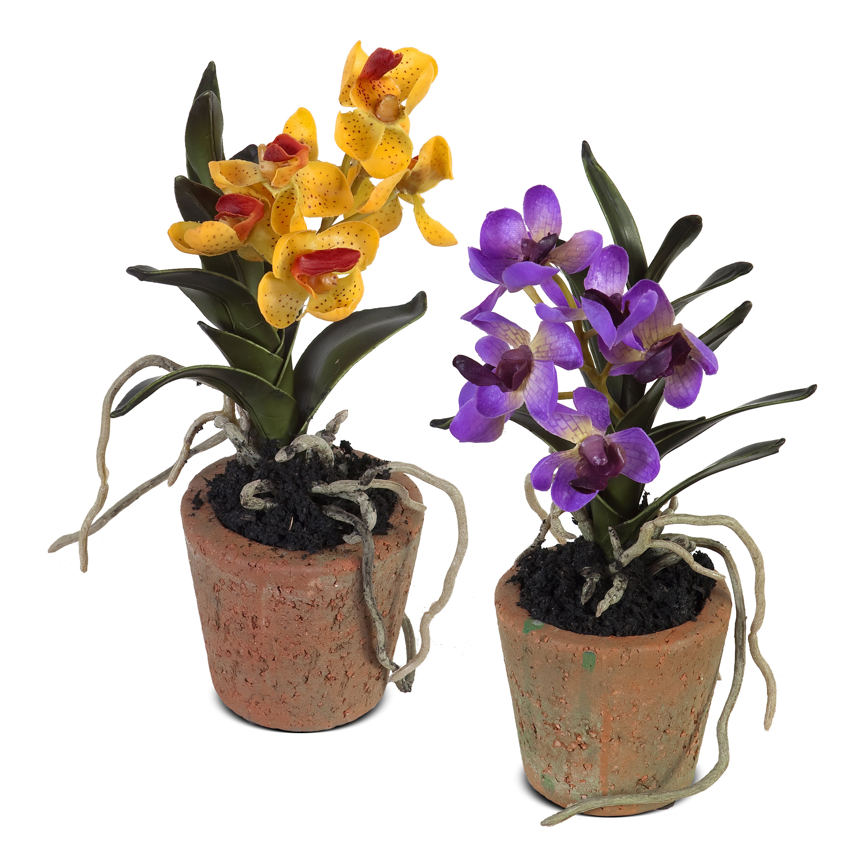 Nearly Natural 1276-PP Mini Vanda w/Fluted Vase Silk Flower Arrangement 