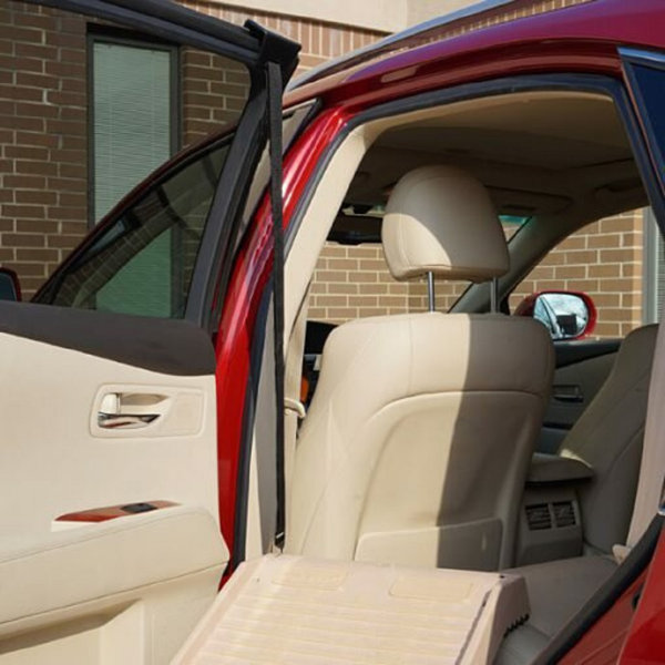 dog car ramp side door