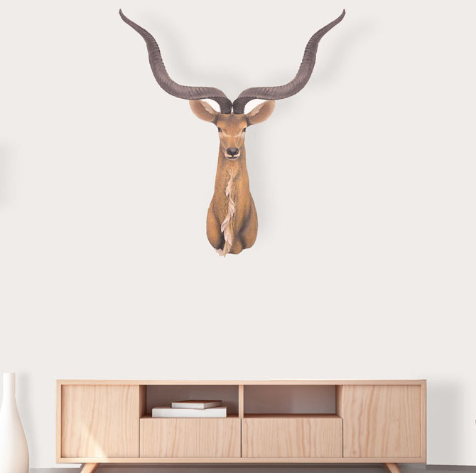 Millwood Pines Antelope Head Wall Décor & Reviews | Wayfair