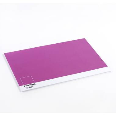 Ebern Designs Isleton Radiant Pantone Placement 19.5" Paper Disposable Placemats | Wayfair
