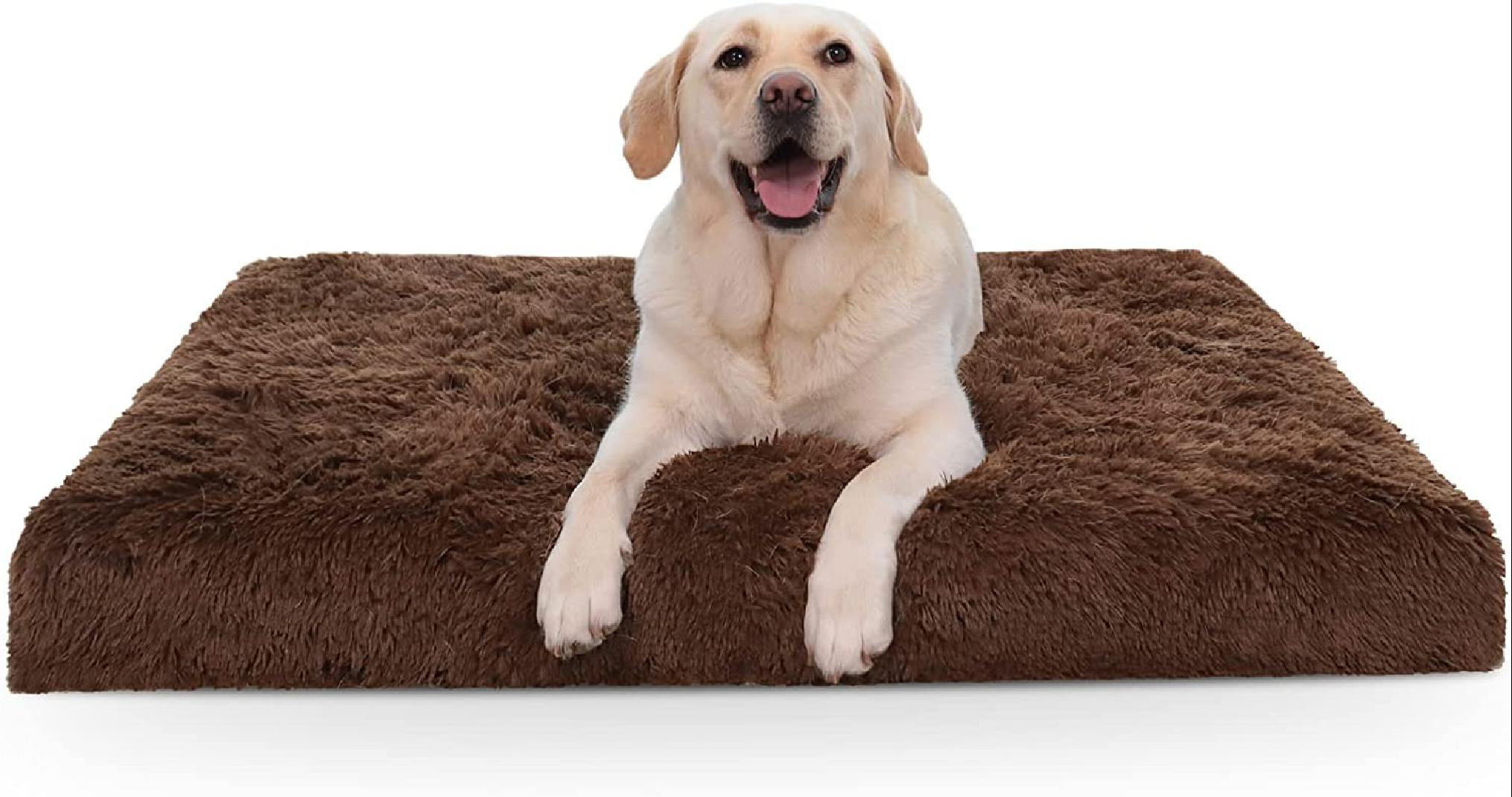 Can You Wash Egg Crate Foam Dog Bed 