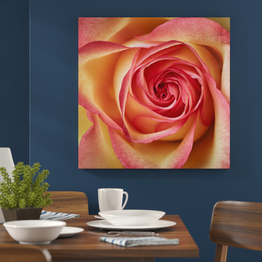 East Urban Home Leinwandbild Pinke Rose – Nahaufnahme Größe: 150 L x 50 B