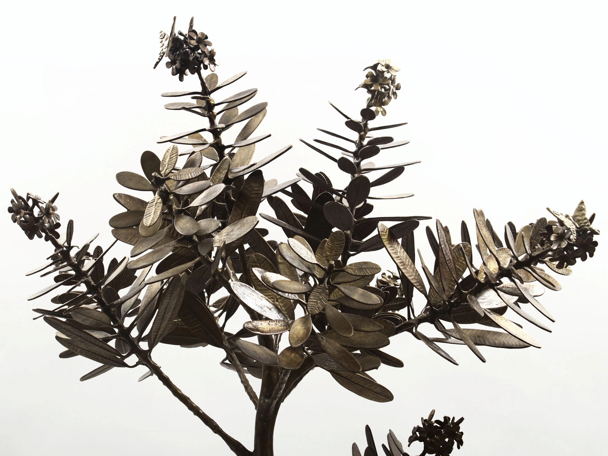 Exotic India Decorative Olive Tree Wayfair