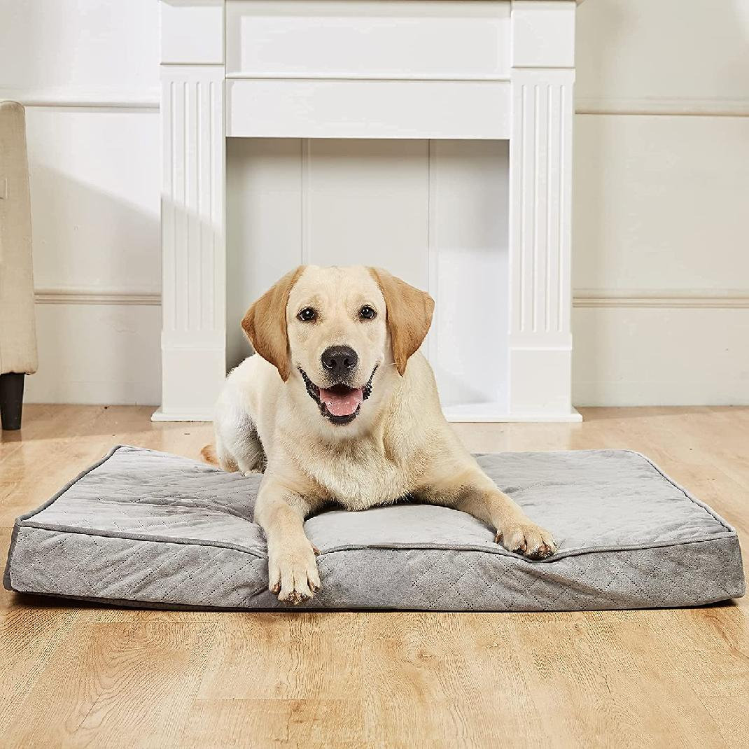 Tucker Murphy Pet Extra Large Orthopedic Dog Bed For Large Dogs Thick 