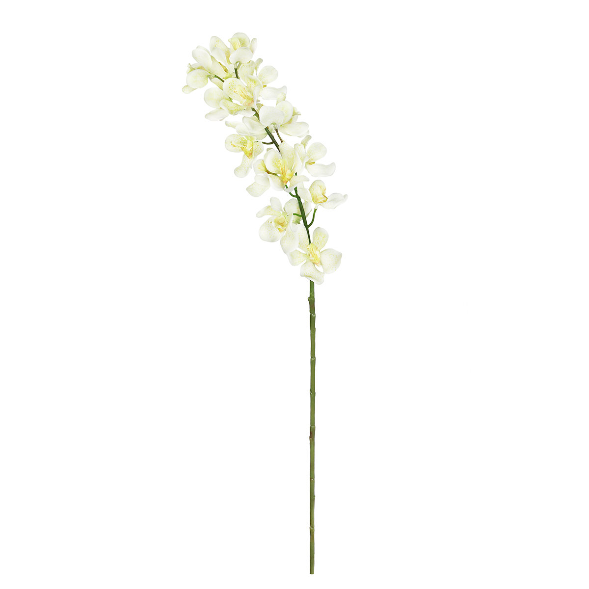 Primrue Orchid Stems Wayfair